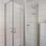 Hennen Witzenhausen